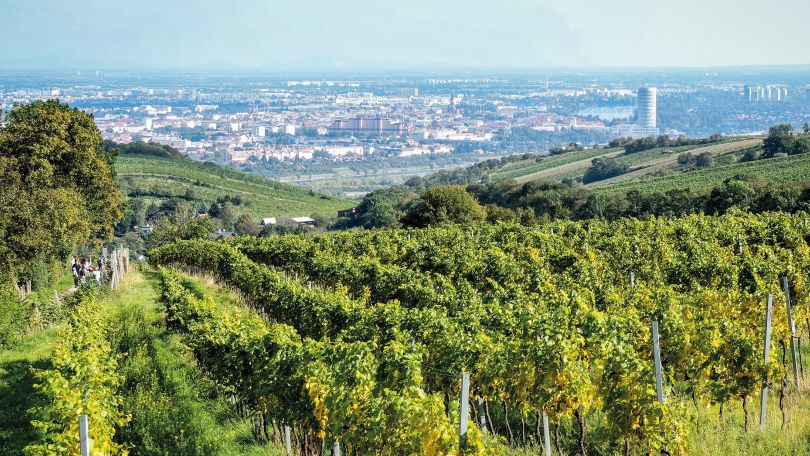 copyright: Stadt Wien / Christian Fürthner Weinberge Wiens