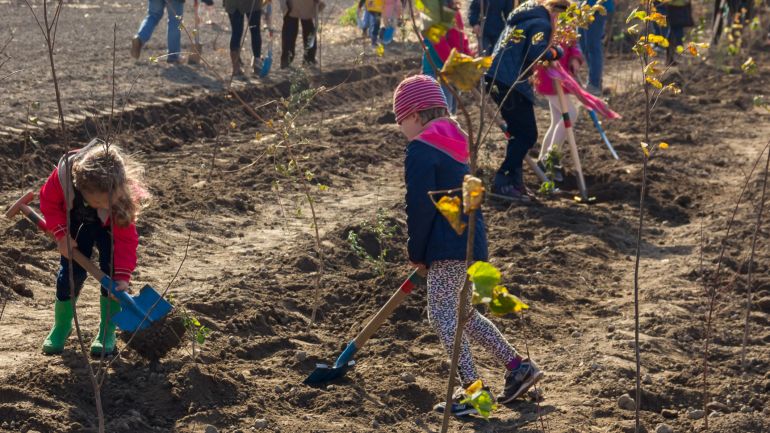 Kinder pflanzen Bäume