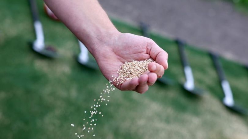 copyright: Stadt Wien/Martin Votava Verfüllmaterial aus Mais fällt aus einer Hand