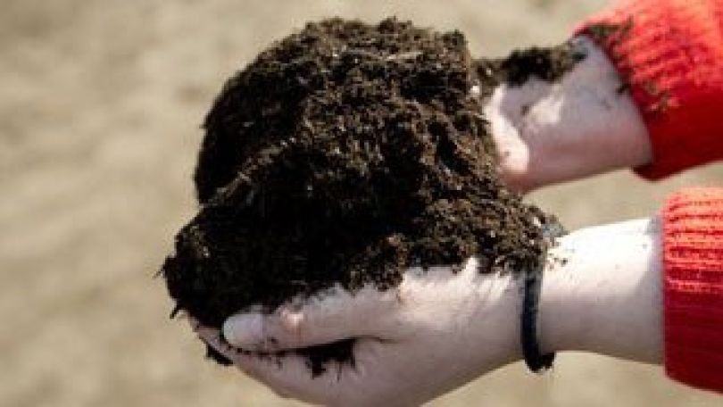 Hände voll mit Gartenerde