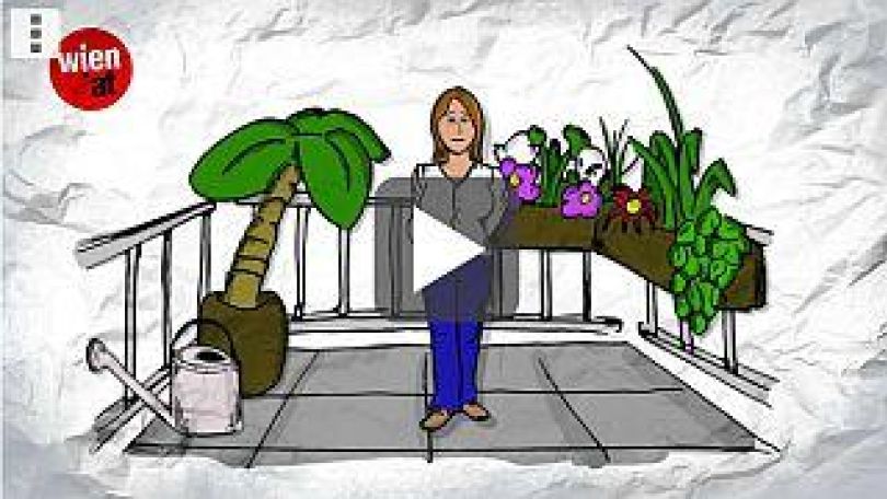 Junge Pflanze in der Erde