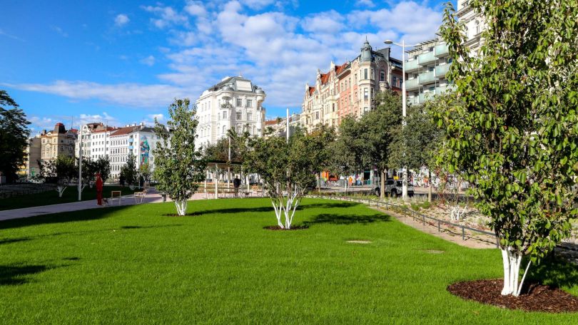Grüne Wiese mit Bäumen und frisch gepflanztem Rasen.