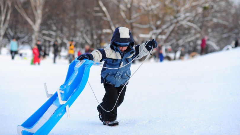 copyright: Philipp Knoll / MA 42 Ein Kind in Winterkleidung zieht einen blauen Bob über eine schneebedeckte Wiese.