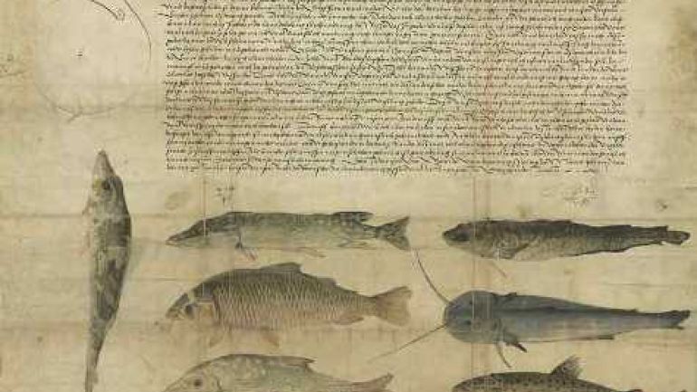 Fishing privilege granted by Maximilian I. (1506)