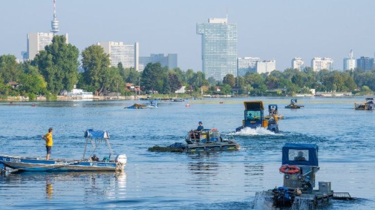 Mehrere Mähboote bei Einsatz auf der Alten Donau