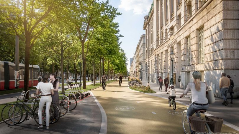 Breiter 2-Richtungsradweg neben der Universität Wien. Rechts vom Radweg ist ein Gehweg, links eine Baum-Allee mit einem weiteren Gehweg. Vor der Uni sind Fahrradabstellplätze.