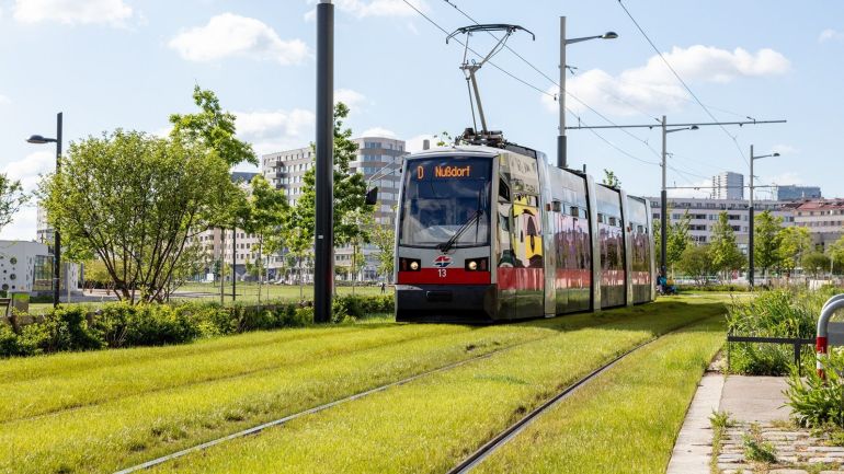 copyright: Wiener Linien - Helmer Eine Straßenbahn der Linie D fährt auf einem begrünten Gleis.