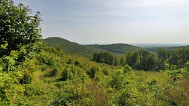 copyright: PID - Schaub-Walzer Blick auf den Wienerwald