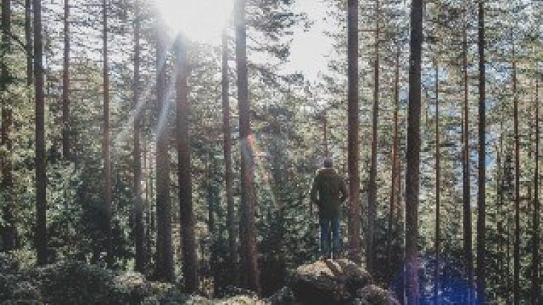 Ein Mann steht in einem sonnendurchfluteten Wald.