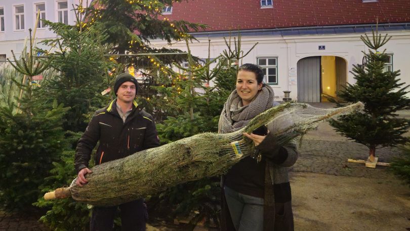 2 Personen stehen an einem Christbaumstandplatz und halten einen Christbaum in ihren Händen