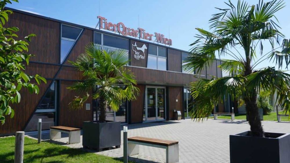 copyright: TierQuarTier Wien Gebäude mit brauner Fassade, Vorplatz mit Palmen und Sitzgelegenheiten
