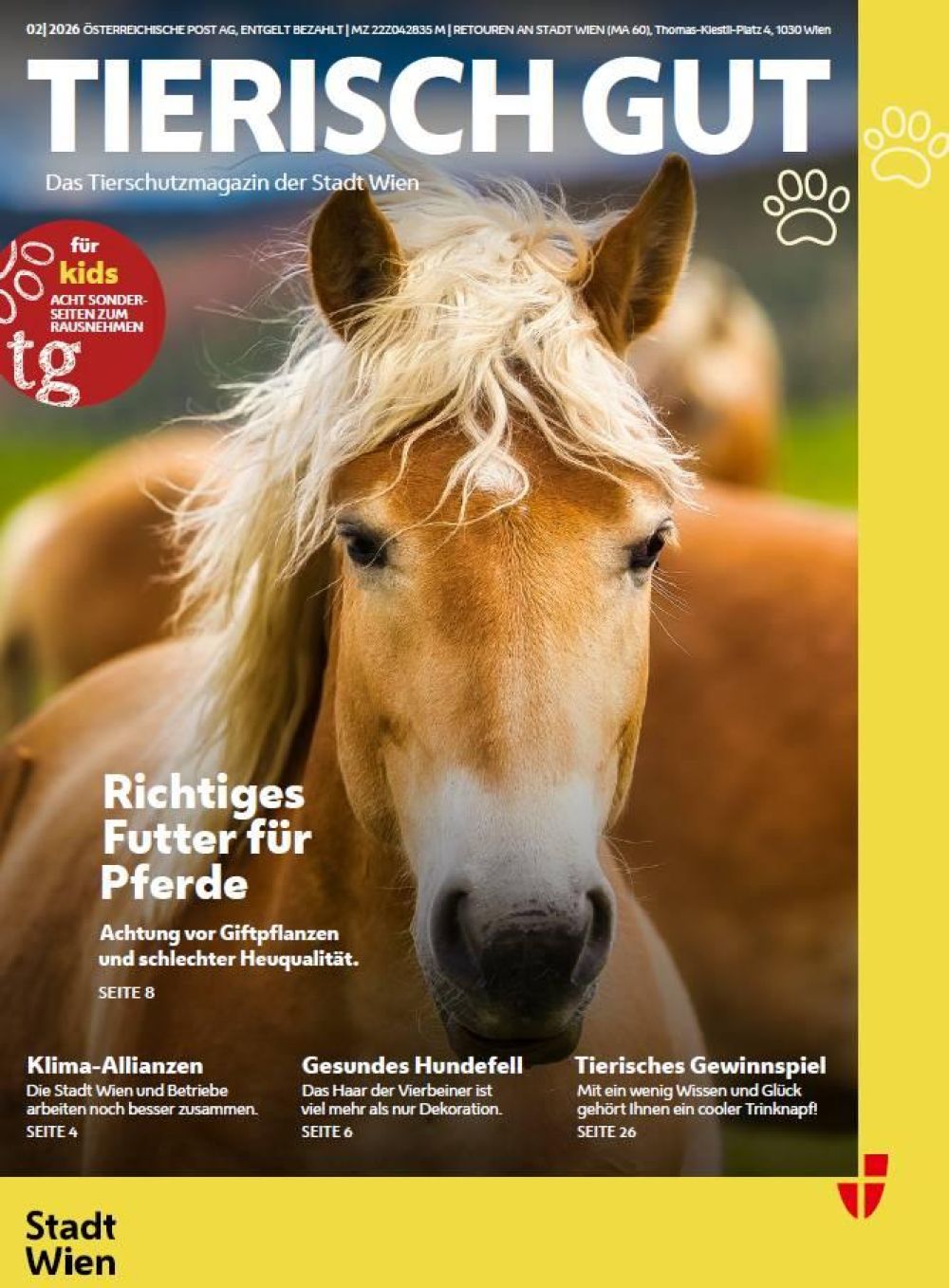 Pferd mit braunem Fell und blonder Mähne
