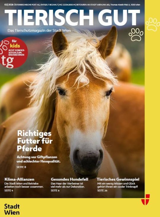 copyright: Stadt Wien - Veterinäramt und Tierschutz Pferd mit braunem Fell und blonder Mähne