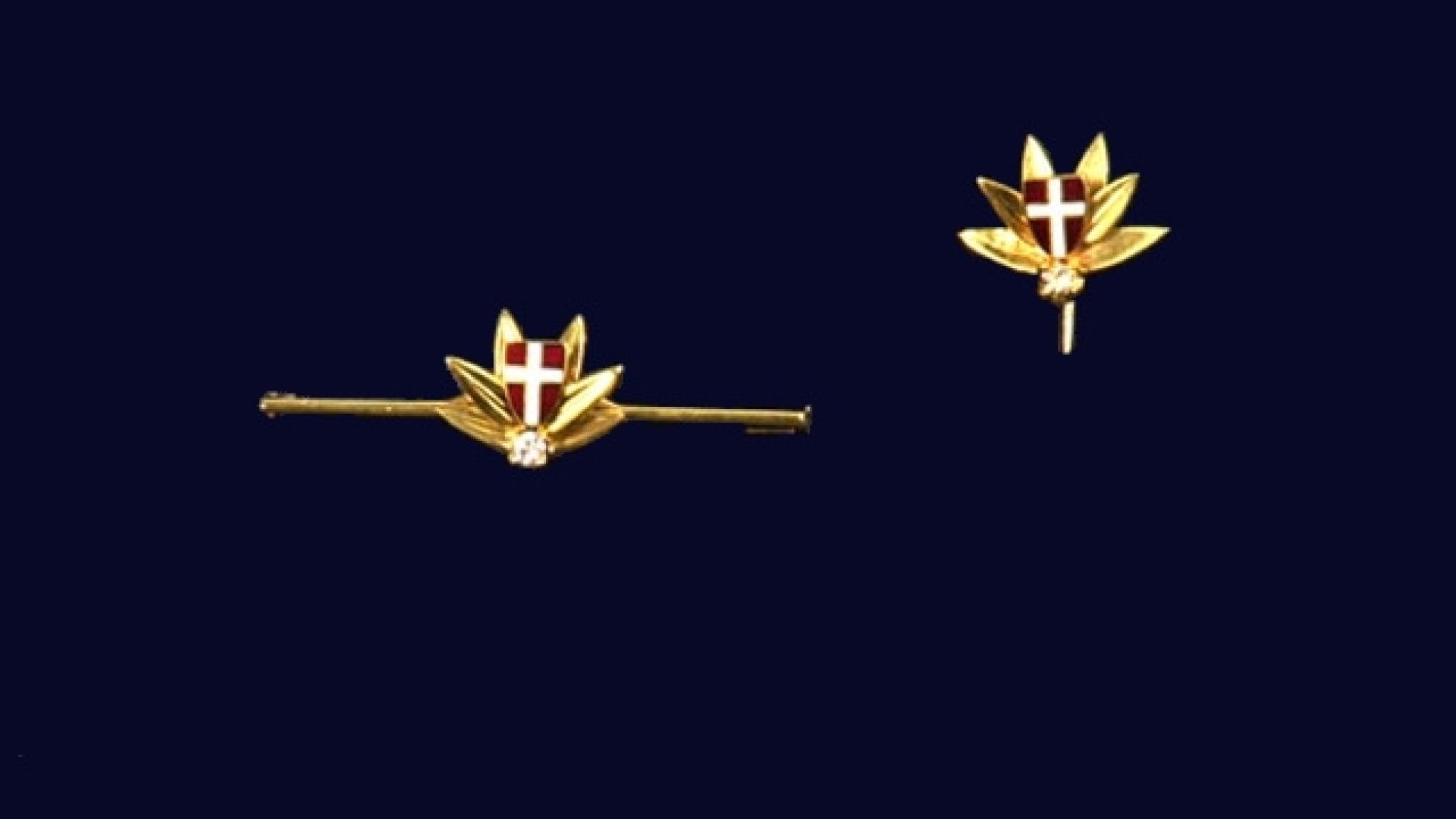 copyright: media wien goldene Anstecknadel