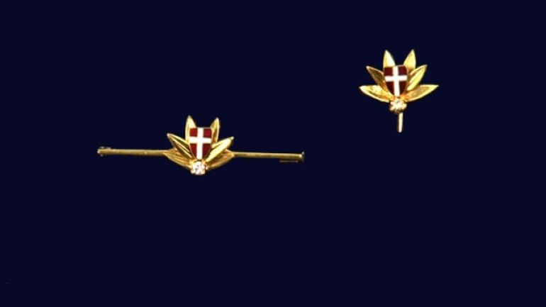 goldene Anstecknadel