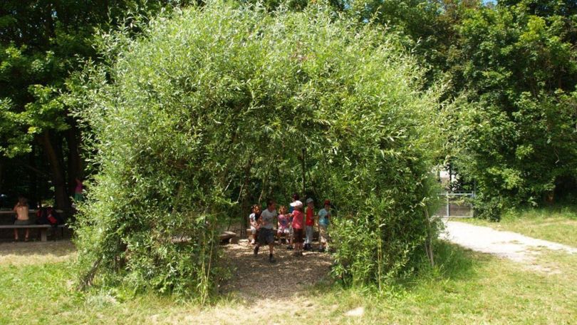 Kinder in einer grünen Laube