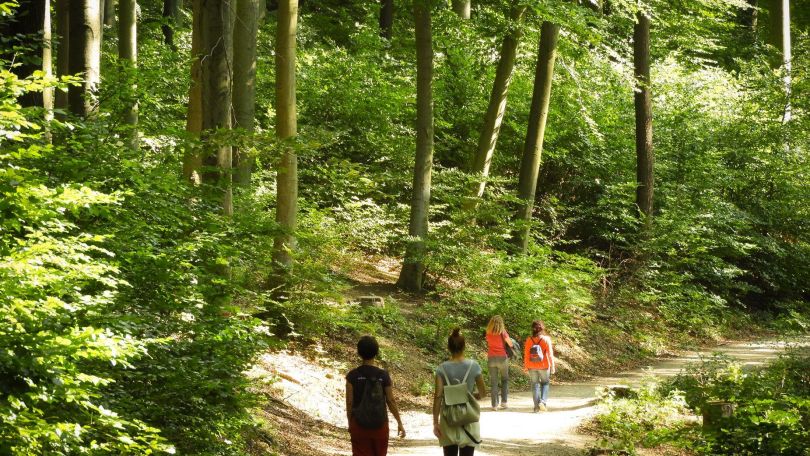 copyright: MA49 / Christian Fürthner Spaziergänger am Stadtwanderweg durch den Wienerwald.