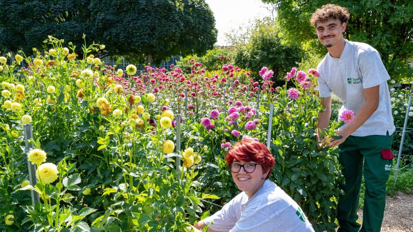 2 Gärtner in einem Blumenfeld