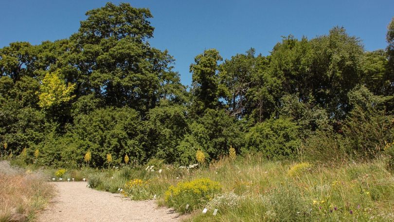 copyright: Rudolf Hromniak