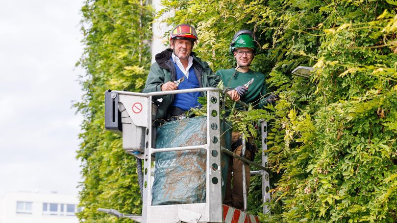 2 Männer stehen in Arbeitskleidung auf einer Hebebühne vor einer begrünten Hausfassade.