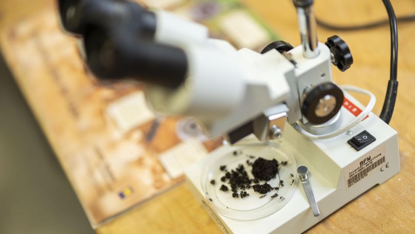 copyright: Umweltbundesamt/Birli Unter einem Mikroskop liegt eine Petrischale mit schwarzen Krümeln.