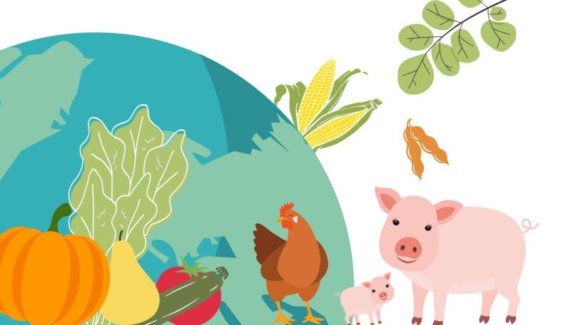 Vor der Weltkugel sind verschiedene Gemüse- und Obstsorten, ein Hahn und 2 Schweine.