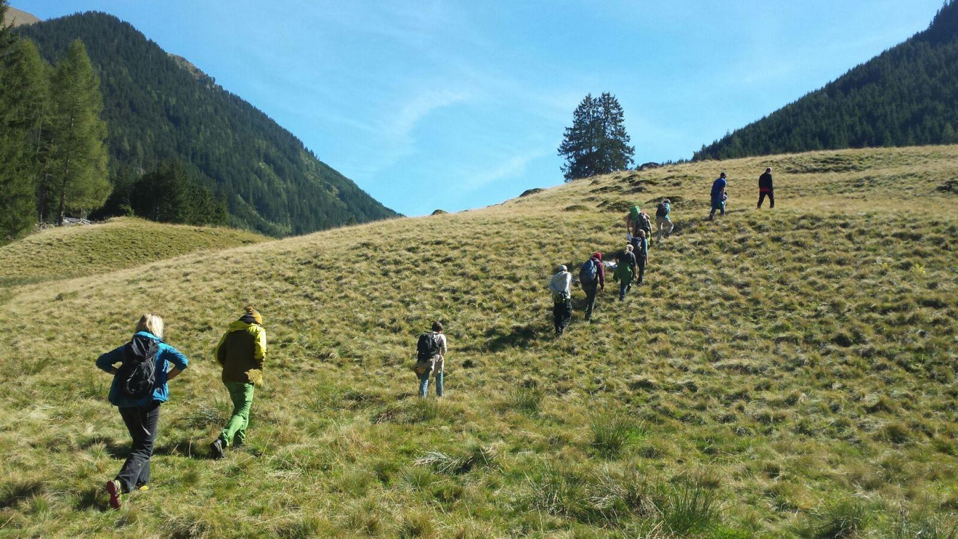 Eine Gruppe wandert auf einen Hügel hinauf.