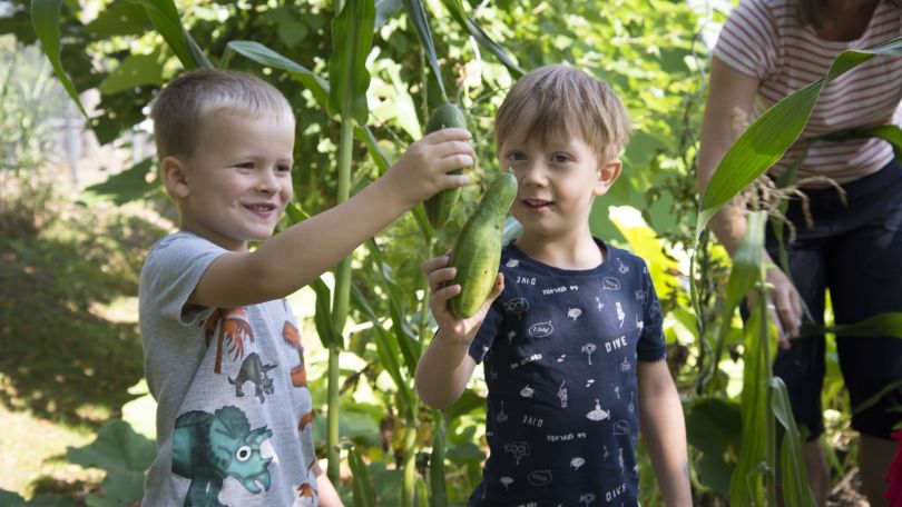 copyright: Acker e. V. / Katharina Kühnel Kinder im Garten