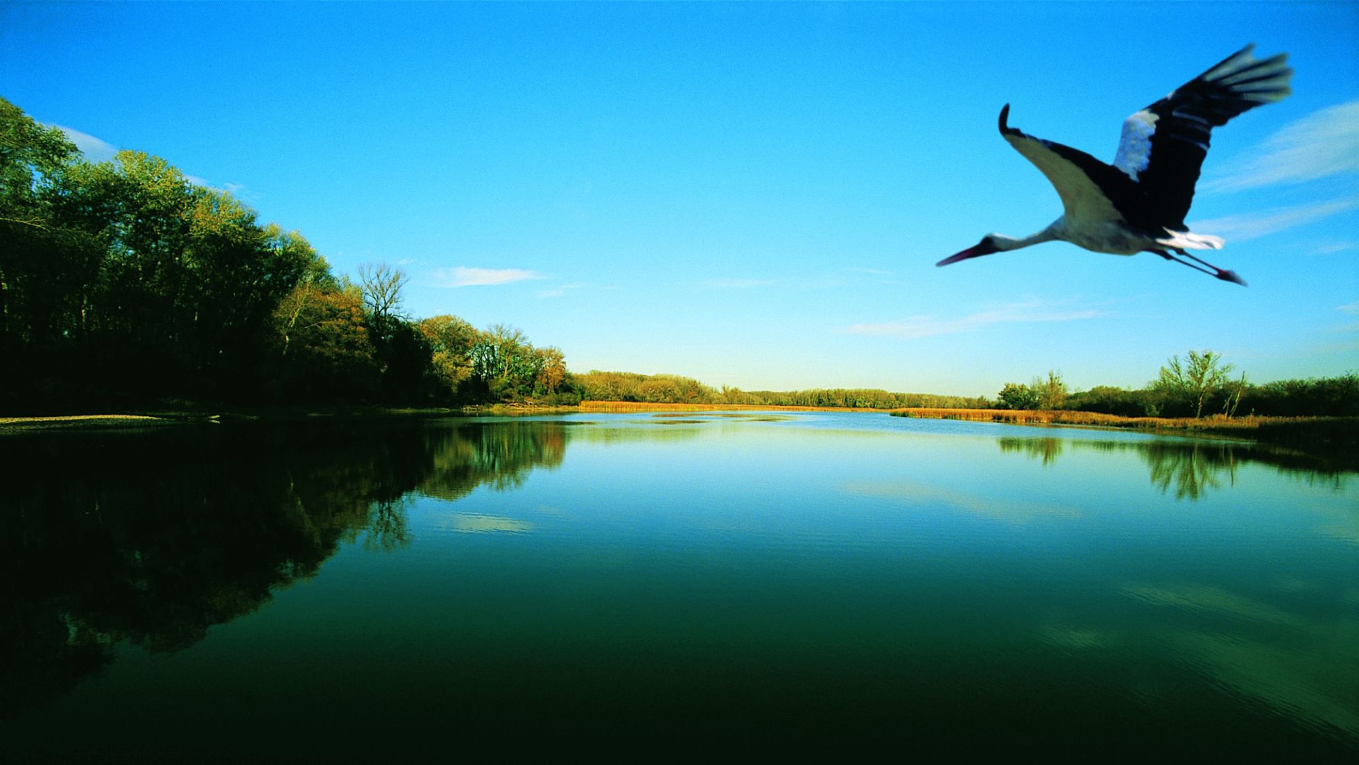 copyright: Lammerhuber Exkursion in den Nationalpark Lobau