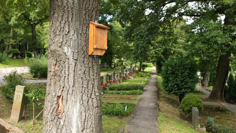 copyright: PID/Christian Houdek Neustifter Friedhof