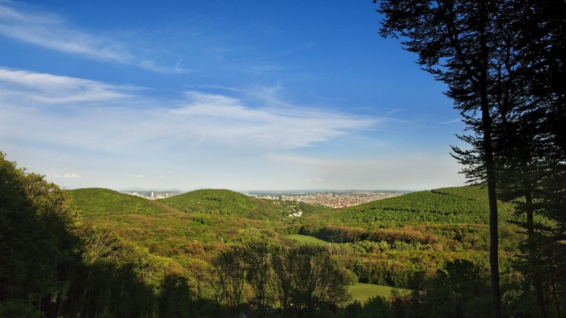 copyright: BPWW Lammerhuber Waldpanorama mit Wien im Hintergrund