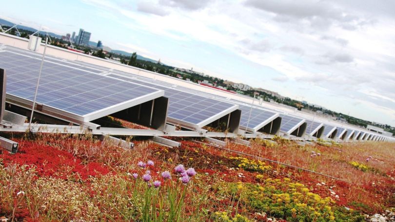 Photovoltaik-Anlage auf einem begrünten Dach