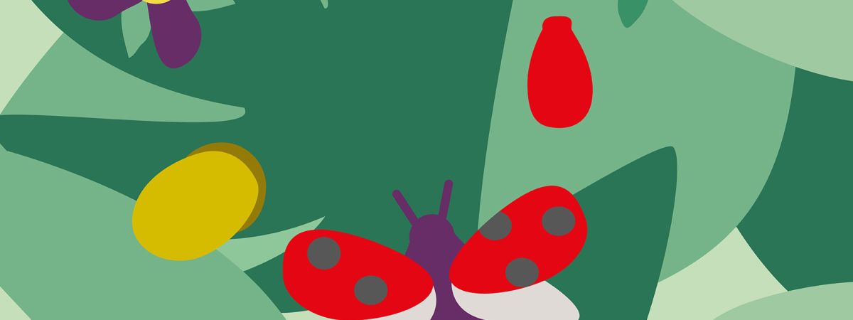 Illustration mit Blumen und Marienkäfer