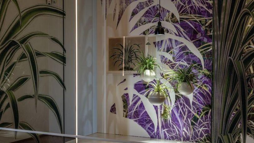 Ausstellung "Kolonialismus am Fensterbrett"