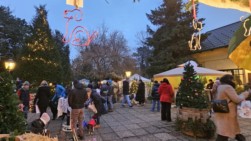 Hundeweihnachtsmarkt