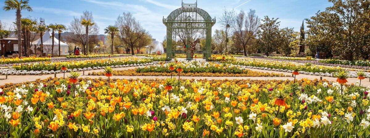 Viele bunte blühende Blumen in den Blumengärten Hirschstetten