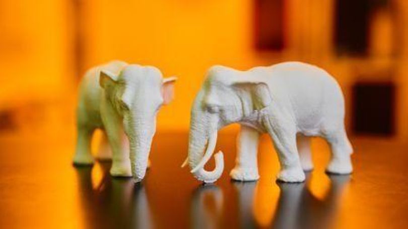 copyright: Eburo GmbH 3D-Druck zweier Elefanten aus künstlichem Elfenbein