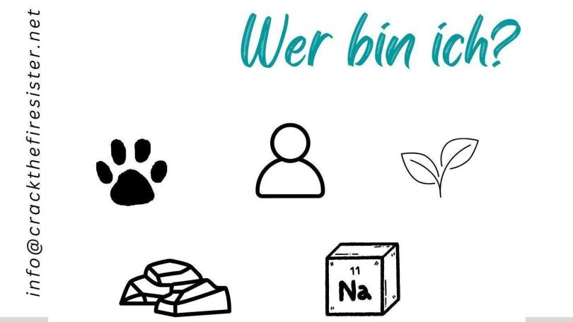 copyright: crackthefiresister Text "Wer bin ich?" und Symbole, wie Pfotenabdruck, Pflanze, Figur, Würfel und Steine