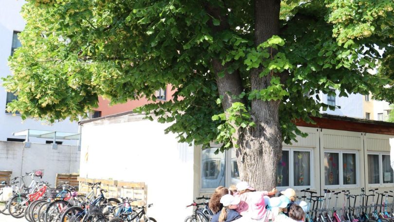 Kinder umarmen einen großen Baum