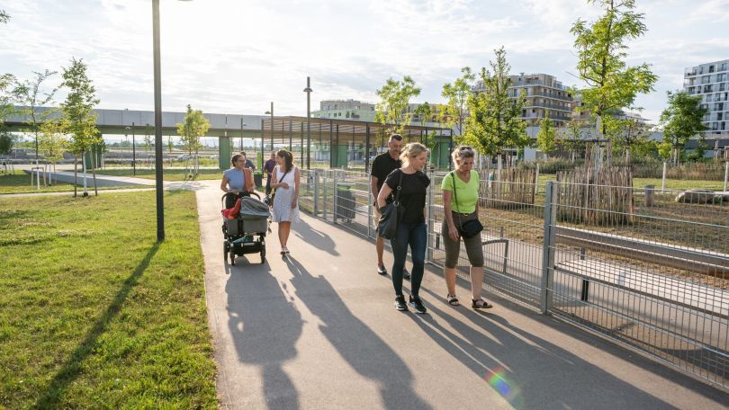 copyright: Luiza Puiu Eine Gruppe Menschen geht zusammen durch einen grünen Park, die Sonne scheint