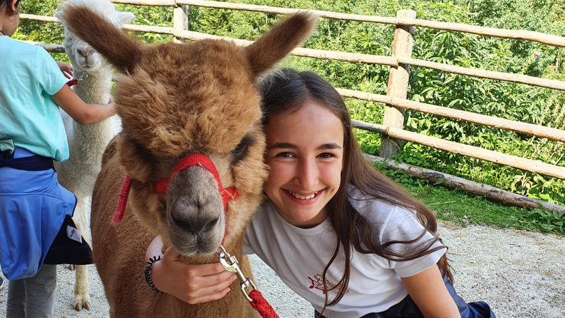 copyright: Wiener Jugenderholung Kind posiert mit einem Lama