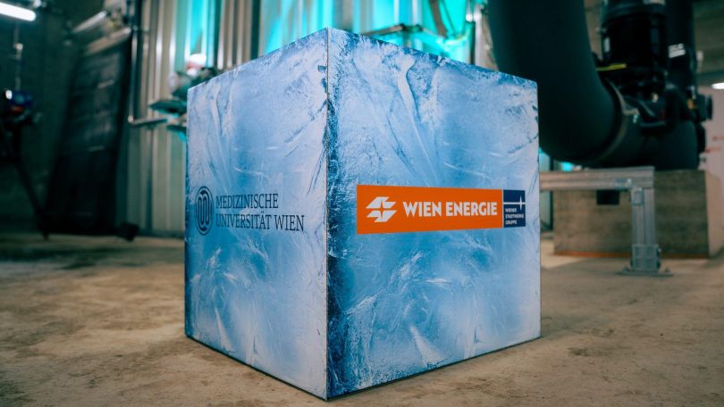 copyright: Wien Energie/Michael Horak Modell von einem großen Eiswürfel mit Logo von Wien Energie und der Medizinischen Universität Wien
