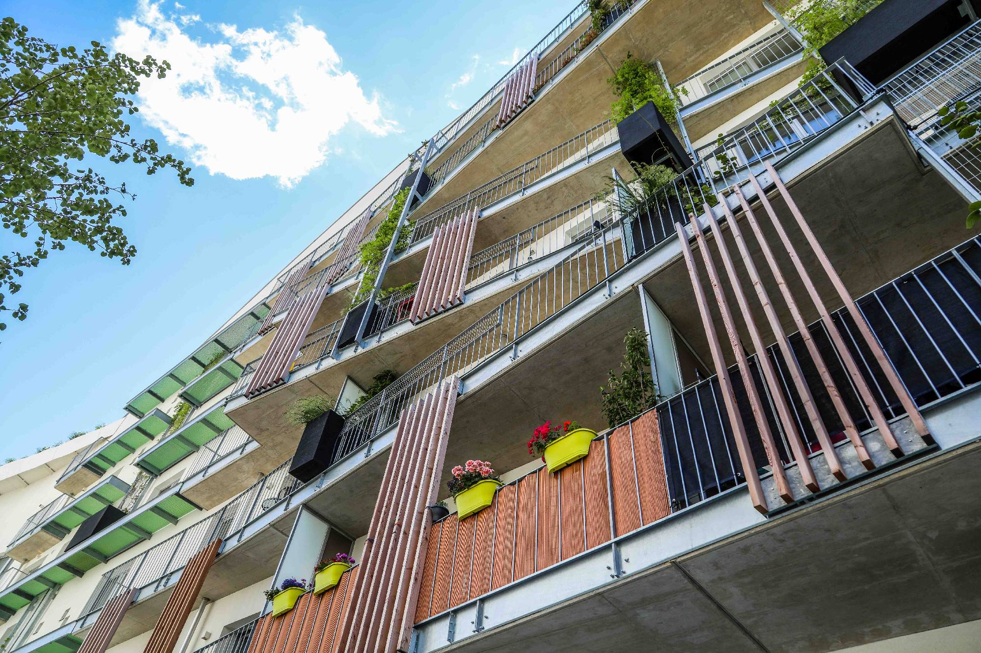 Living Garden Bild 1