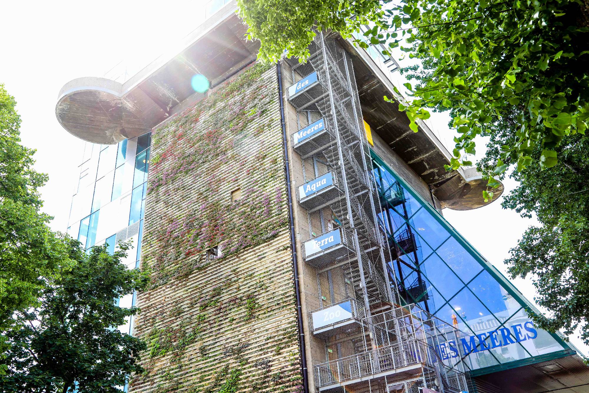 Haus des Meeres Bild 7