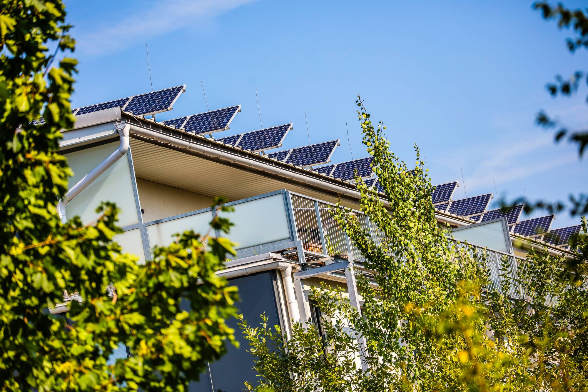 Schellenseegasse Bild 2