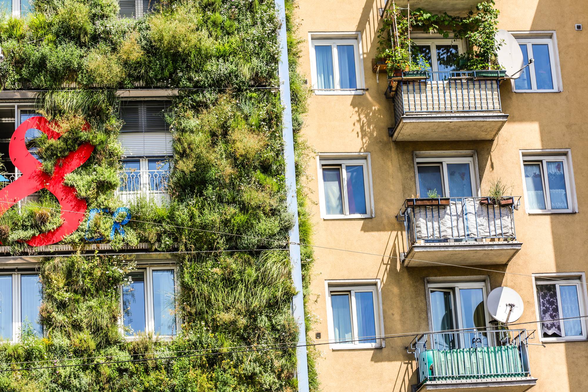 Fassadenbegrünung MA 48-Zentrale - Bild 11