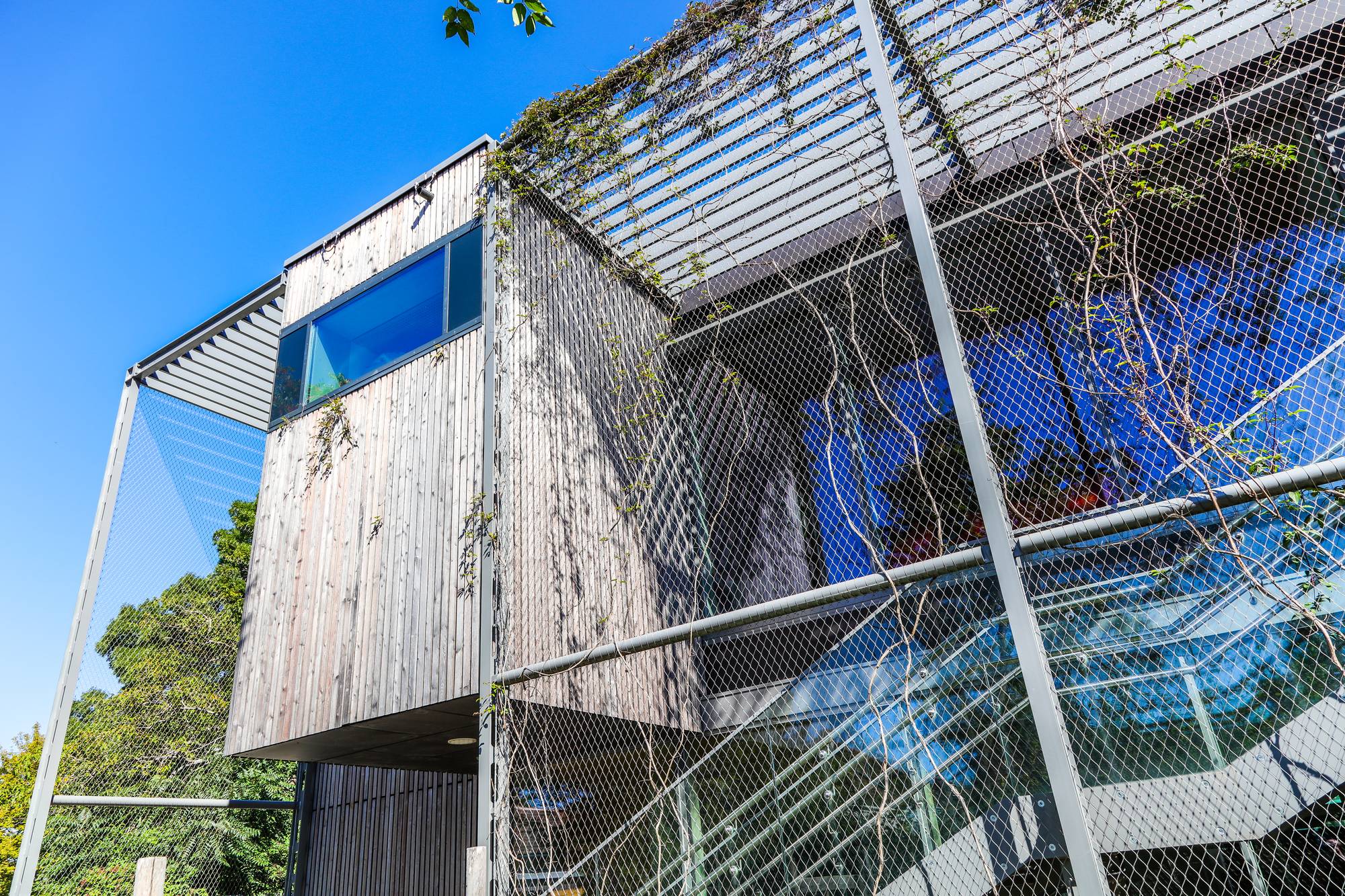 Passivhaus-Kindergarten Schukowitzgasse - Bild 1