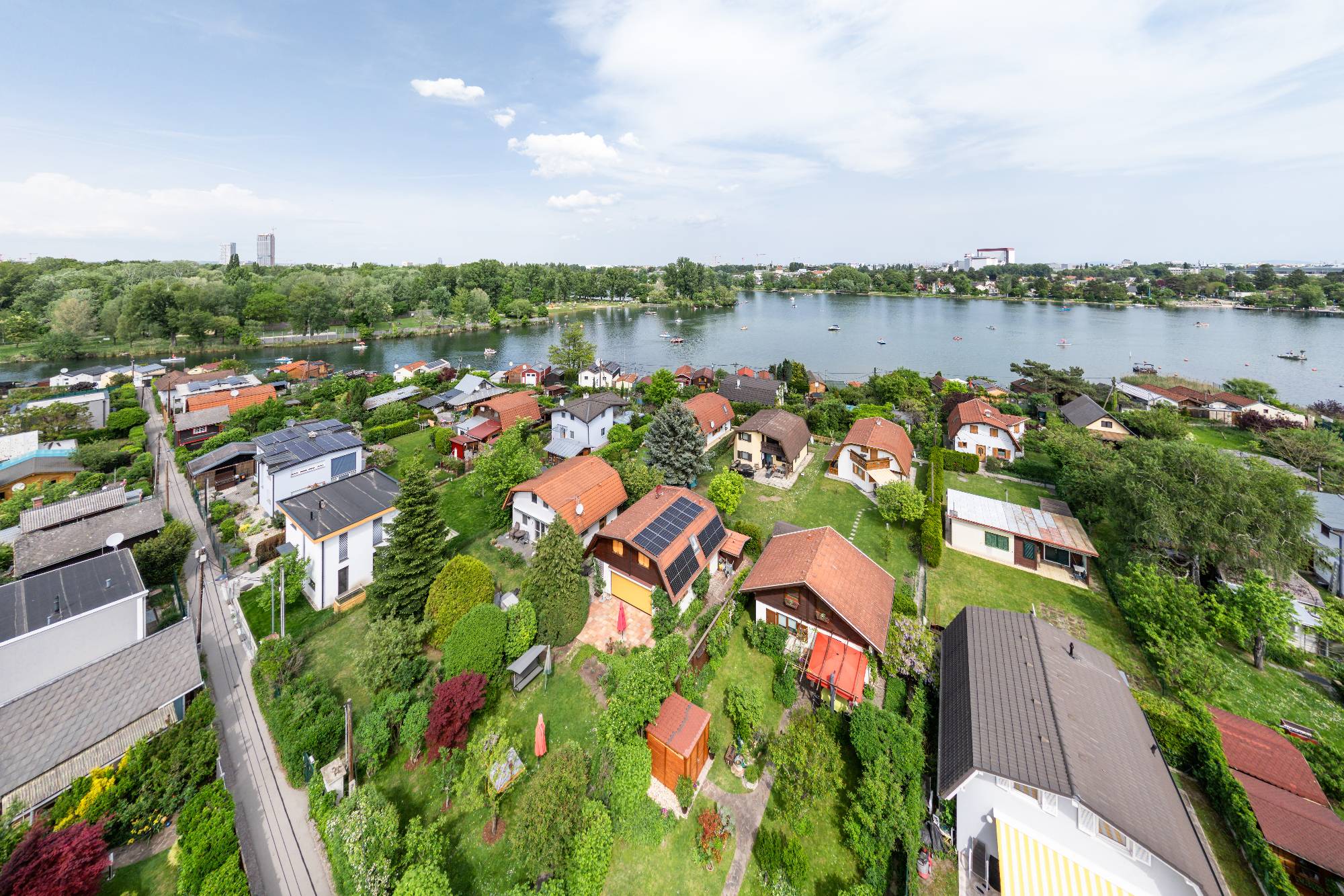 EEG-Gaensehaeufl-0011