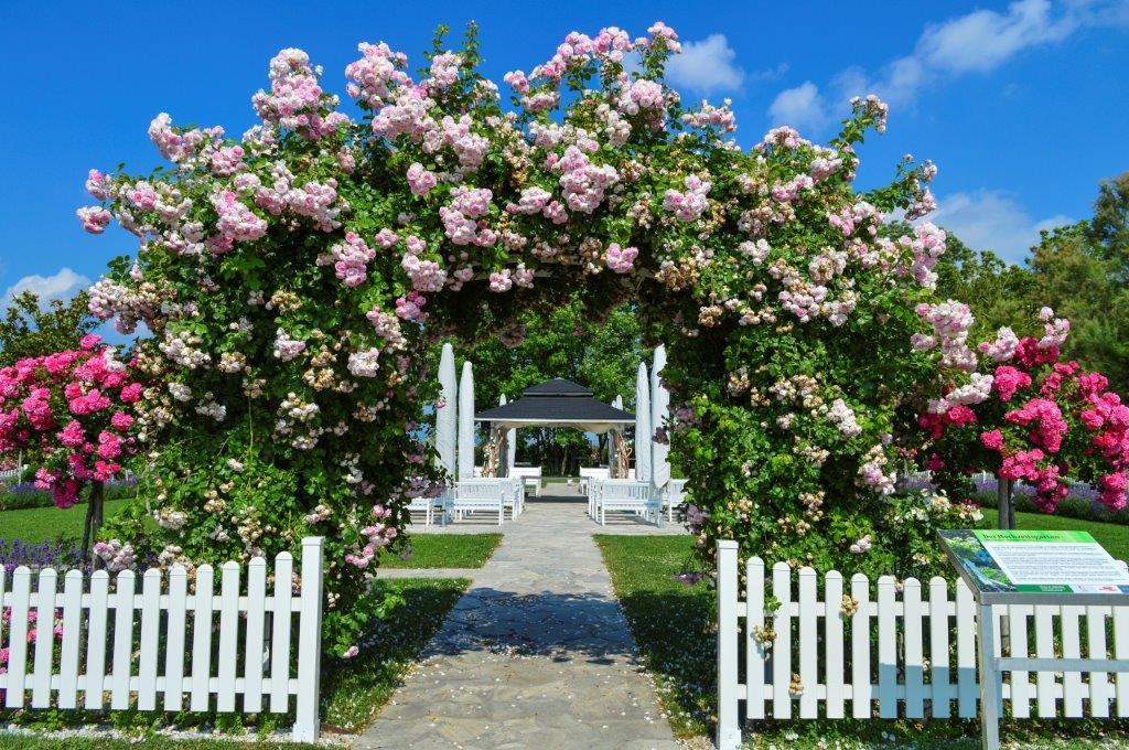 Pavillon with roses