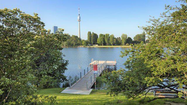 copyright: Wiener Gewässer A bathing jetty leads from a meadow into the water. The Danube Tower can be seen in the background.